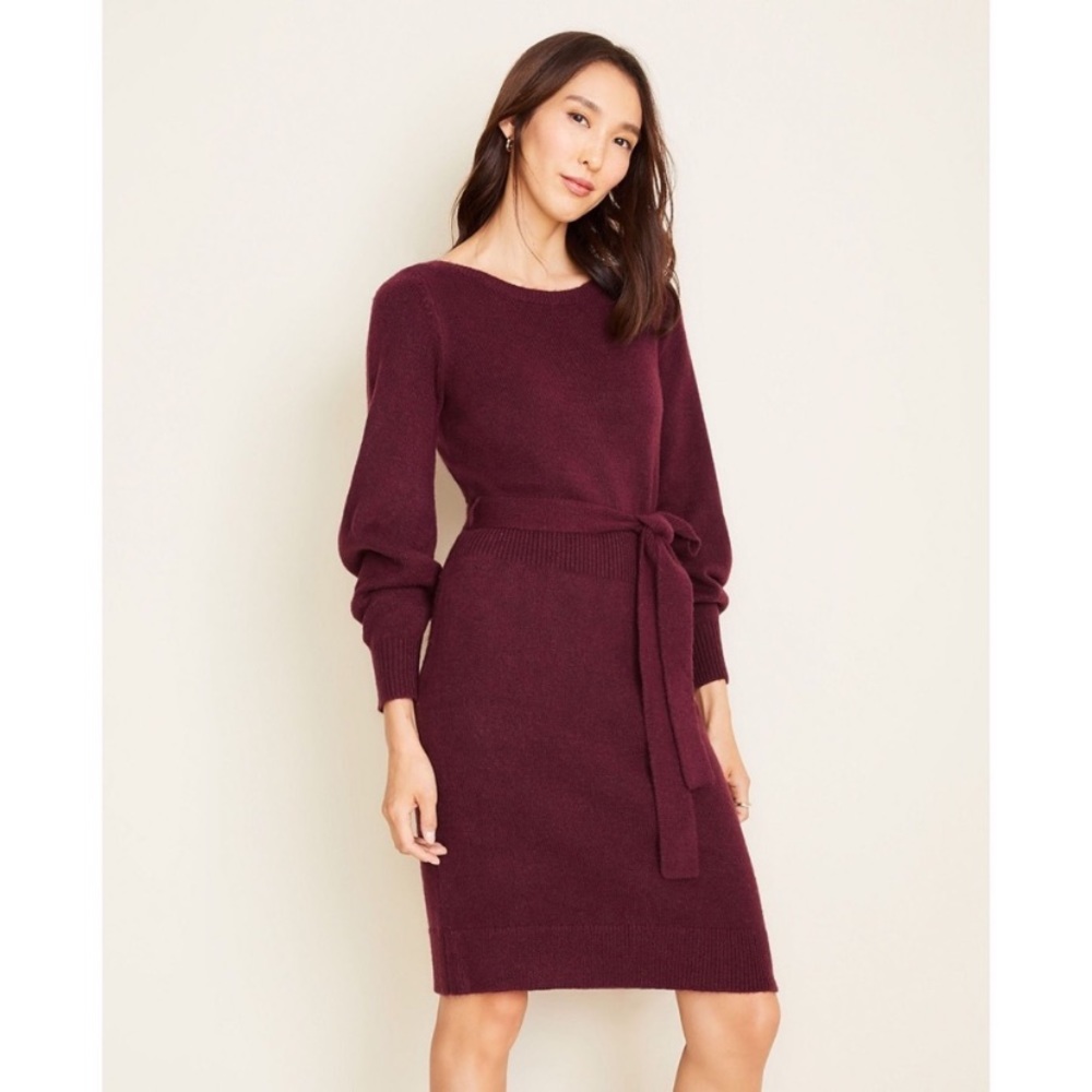 Petite boatneck belted sweater dress